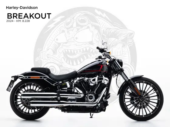 HARLEY-DAVIDSON SOFTAIL BREAKOUT 