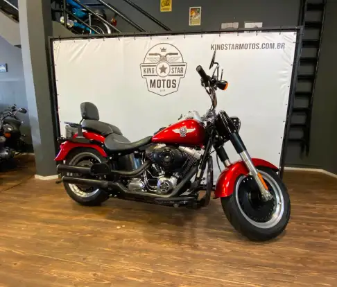 HARLEY-DAVIDSON-SOFTAIL FAT BOY SPECIAL-2013