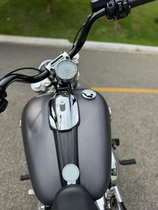 HARLEY-DAVIDSON-SOFTAIL BREAKOUT HARLEY-DAVIDSON-SOFTAIL BREAKOUT-2015