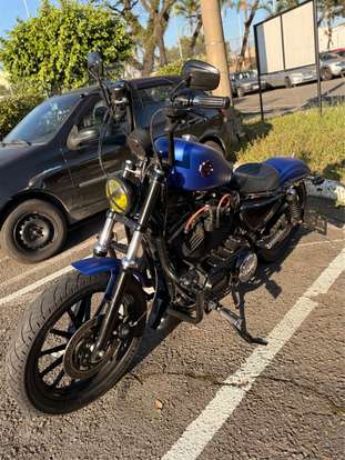 HARLEY-DAVIDSON-SPORTSTER XL 883-2008