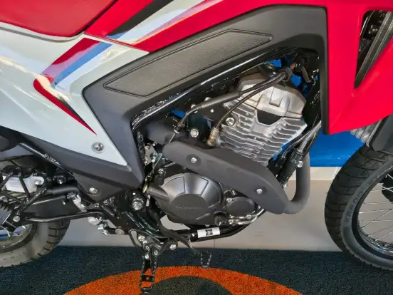 HONDA-XR 300L TORNADO-2025