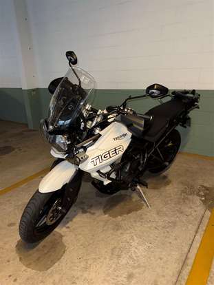 TRIUMPH-TIGER 800 XRX-2019