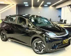 BYD DOLPHIN 44,9 KW ELÉTRICO BYD DOLPHIN 44,9 KW ELÉTRICO
