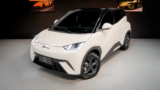BYD DOLPHIN MINI 38 KW ELÉTRICO GS