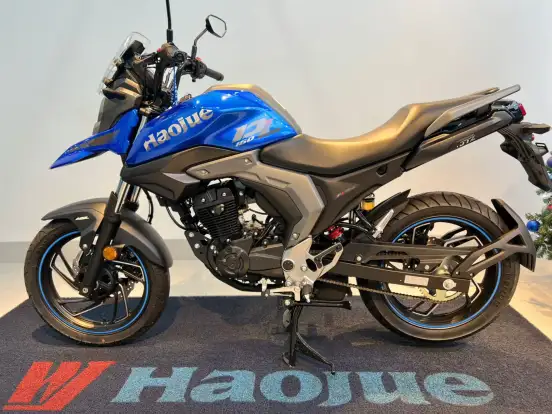 HAOJUE-DL 160 HAOJUE-DL 160-2026