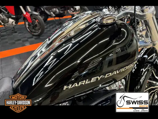 HARLEY-DAVIDSON-SOFTAIL BREAKOUT-2026