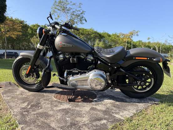 HARLEY-DAVIDSON-SOFTAIL SLIM HARLEY-DAVIDSON-SOFTAIL SLIM-2018
