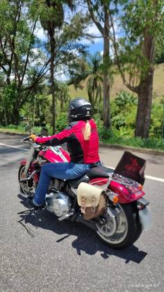 HARLEY-DAVIDSON SOFTAIL FAT BOY 114 
