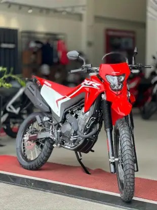 HONDA-XR 300L TORNADO-2026