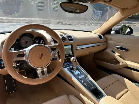 PORSCHE-CAYMAN-2014