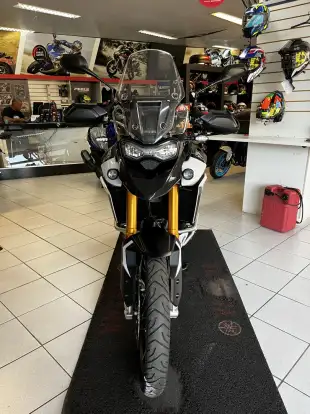 TRIUMPH-TIGER 900 RALLY PRO-2024