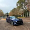 FORD MUSTANG 5.0 V8 TI-VCT GASOLINA GT PREMIUM SELECTSHIFT FORD MUSTANG 5.0 V8 TI-VCT GASOLINA GT PREMIUM SELECTSHIFT