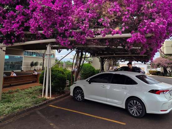 TOYOTA-COROLLA-1.8 VVT-I HYBRID FLEX ALTIS PREMIUM CVT TOYOTA-COROLLA-2019