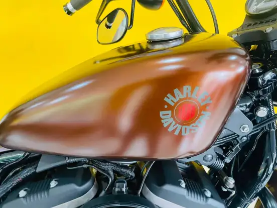 HARLEY-DAVIDSON-SPORTSTER IRON 883-2019