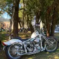 HARLEY-DAVIDSON SHOVELHEAD HARLEY-DAVIDSON SHOVELHEAD