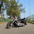 HARLEY-DAVIDSON V-ROD MUSCLE HARLEY-DAVIDSON V-ROD MUSCLE