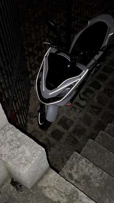 HONDA-POP 110i HONDA-POP 110i-2026