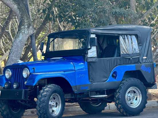 JEEP-CJ 5-2.6 6I 4X4 GASOLINA 2P MANUAL JEEP-CJ 5-1966