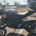 TRIUMPH TRIDENT 660 TRIUMPH TRIDENT 660