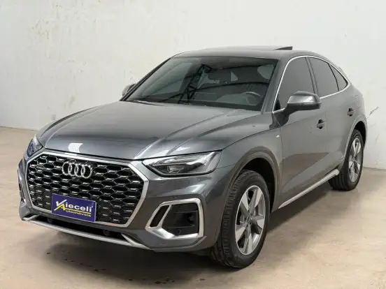 AUDI-Q5-2.0 55 TFSIE PHEV SPORTBACK PERFORMANCE QUATTRO S TRONIC AUDI-Q5-2022