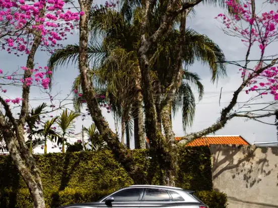 AUDI-SQ5-3.0 TFSI V6 24V GASOLINA 4P AUTOMÁTICO AUDI-SQ5-2017