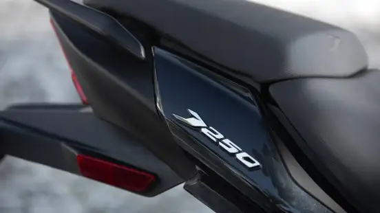 BAJAJ-DOMINAR 250-2026