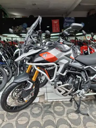 TRIUMPH-TIGER 900 RALLY PRO-2024