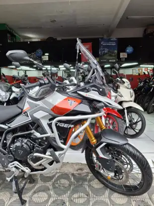 TRIUMPH-TIGER 900 RALLY PRO-2024