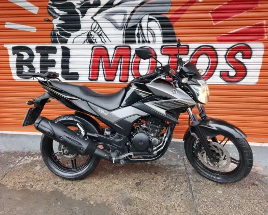 YAMAHA YS 250 FAZER BLUEFLEX 