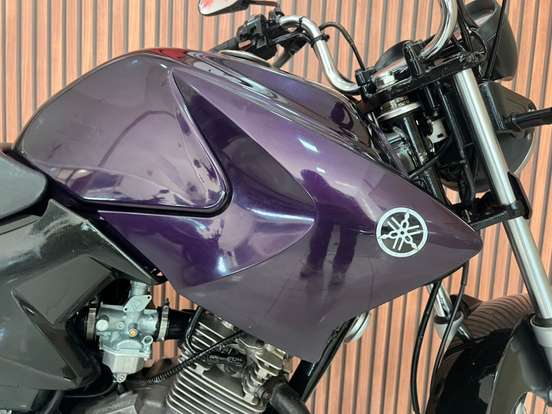YAMAHA-YBR 125 FACTOR E YAMAHA-YBR 125 FACTOR E-2010