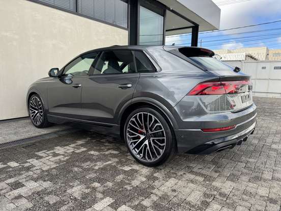 AUDI-Q8-3.0 TFSI GASOLINA PERFORMANCE BLACK QUATTRO TIPTRONIC AUDI-Q8-2026