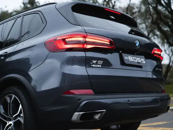 BMW-X5-3.0 4X4 30D I6 TURBO DIESEL 4P AUTOMÁTICO BMW-X5-2019