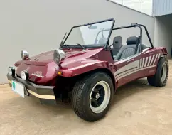 EMIS BUGGY GASOLINA MANUAL EMIS BUGGY GASOLINA MANUAL