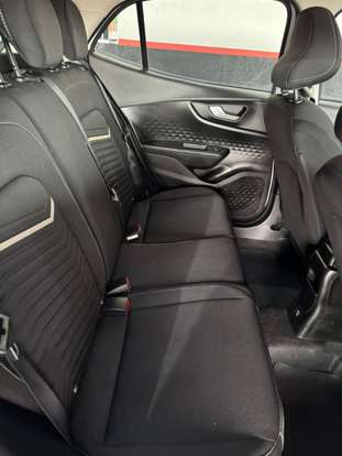 FIAT-PULSE-2024