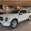 FORD F-150 5.0 V8 GASOLINA CD PLATINUM FX4 AUTOMÁTICO FORD F-150 5.0 V8 GASOLINA CD PLATINUM FX4 AUTOMÁTICO
