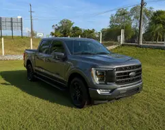 FORD F-150 5.0 V8 GASOLINA CD LARIAT FX4 AUTOMÁTICO FORD F-150 5.0 V8 GASOLINA CD LARIAT FX4 AUTOMÁTICO