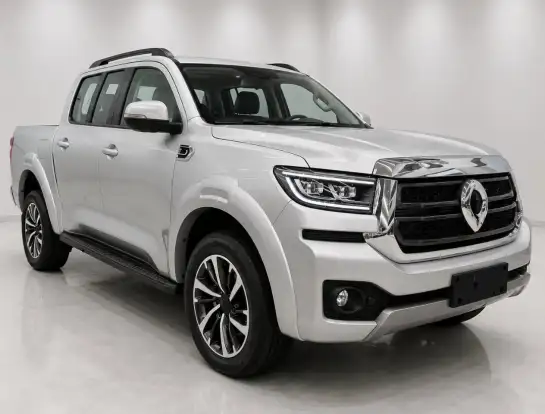 GWM-POER P30-2026