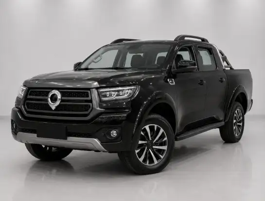 GWM-POER P30-2026