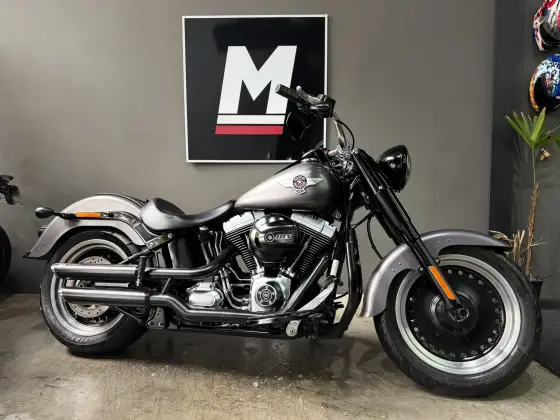 HARLEY-DAVIDSON SOFTAIL FAT BOY SPECIAL 