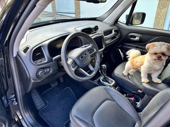 JEEP-RENEGADE-2024