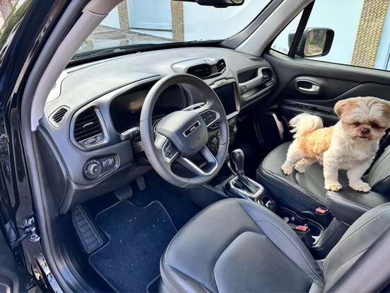 JEEP-RENEGADE-1.3 T270 TURBO FLEX NIGHT EAGLE AT6 JEEP-RENEGADE-2024