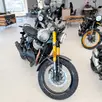 ROYAL ENFIELD BEAR 650 ROYAL ENFIELD BEAR 650