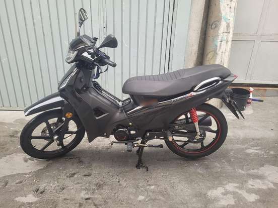 SHINERAY-PHOENIX S 50 EFI SHINERAY-PHOENIX S 50 EFI-2025
