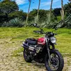 TRIUMPH STREET SCRAMBLER TRIUMPH STREET SCRAMBLER