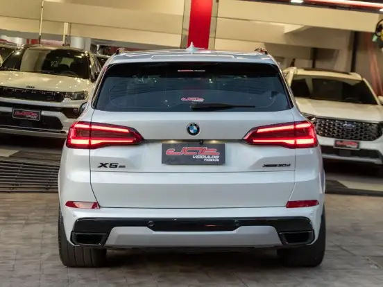BMW-X5-3.0 4X4 30D I6 TURBO DIESEL 4P AUTOMÁTICO BMW-X5-2019
