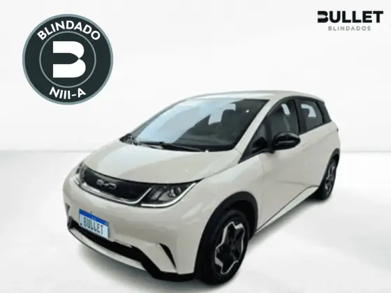 BYD DOLPHIN 44,9 KW ELÉTRICO GS
