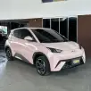 BYD DOLPHIN MINI 38 KW ELÉTRICO 5L BYD DOLPHIN MINI 38 KW ELÉTRICO 5L