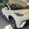 BYD DOLPHIN MINI 38 KW ELÉTRICO GL BYD DOLPHIN MINI 38 KW ELÉTRICO GL
