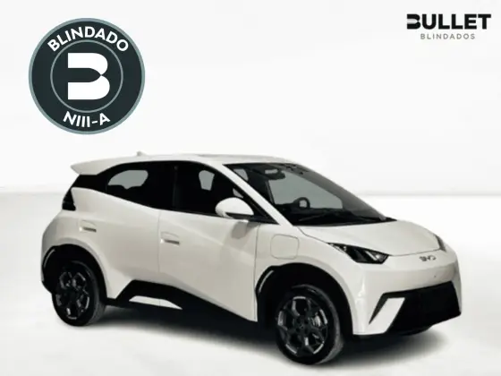 BYD DOLPHIN MINI 38 KW ELÉTRICO GS