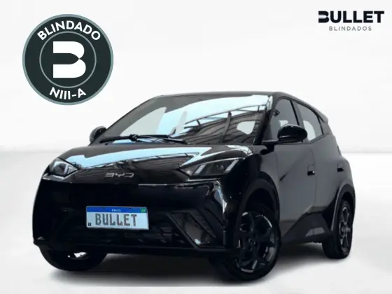 BYD DOLPHIN MINI 38 KW ELÉTRICO GS